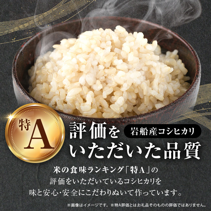 【ふるさと納税】R7年産 [極上]安心こだわり米 岩船産コシヒカリ玄米10kg(5kg×2袋)...