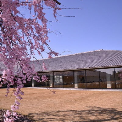 富山県水墨美術館友の会の個人特別会員スペシャルコース(1年分)