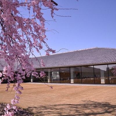 【ふるさと納税】富山県水墨美術館友の会の個人特別会員プレミアムコース(1年分)【1397094】