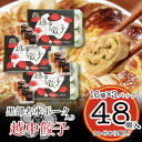 【ふるさと納税】黒部名水ポーク入り越中餃子 3パック(48個入り)【配送不可地域:離島】【1558250】