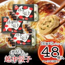 【ふるさと納税】氷見牛入り越中餃子 3パック(48個入り)【配送不可地域:離島】【1558389】