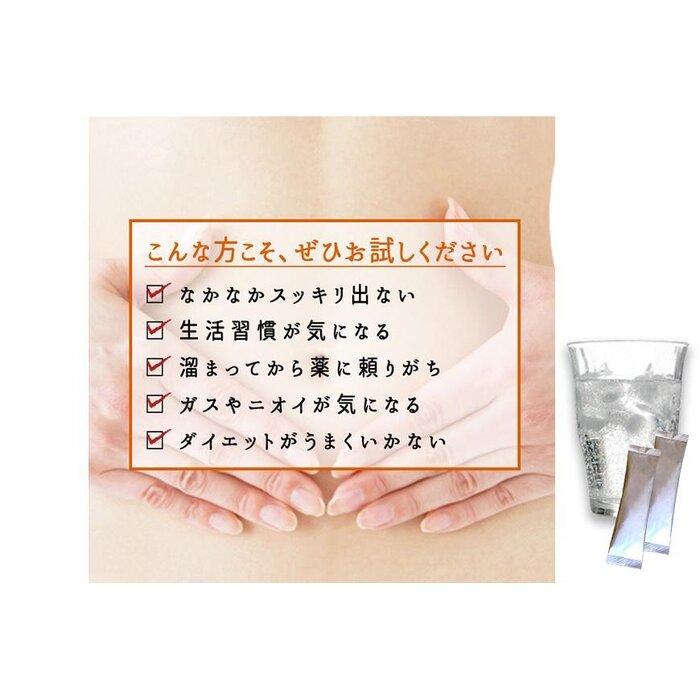 【ふるさと納税】【 食物繊維/難消化性デキストリン】なんでき酵素【6g×30包×10箱セット】 | 食品 加工食品 人気 おすすめ 送料無料