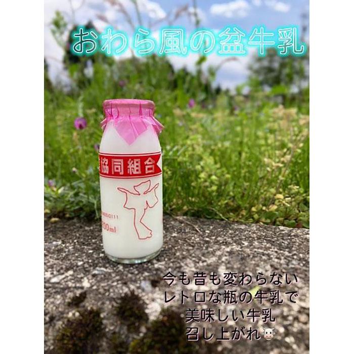 3位! 口コミ数「0件」評価「0」Yatsuo MILK (牛乳)10本セット　富山八尾のおいしいビン牛乳 | 富山県 富山 北陸 ふるさと 納税 楽天ふるさと 返礼品 支援･･･ 