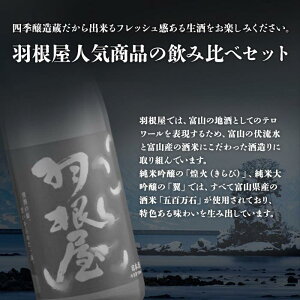 【ふるさと納税】羽根屋 日本酒 720ml×2本 純米大吟醸 翼 ＆ 純吟 煌火 | 酒 お酒 飲み比べ セット 清酒 地酒 お取り寄せ 名産品 お土産 大吟醸酒 純米大吟醸酒 支援 支援品 返礼品 特産品 ご当地 純米吟醸 生酒 飲み比べセット ギフト