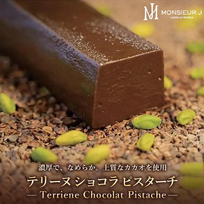 【ふるさと納税】究極のデザートチョコレート【テリーヌショコラピスターチ】 | 富山 ふるさと 納税 支援 支援品 返礼品 返礼 特産品 名産 特産 名産品 お取り寄せスイーツ スウィーツ ショコラテリーヌ ショコラ チョコ テリーヌ ピスタチオチョコレート ピスタチオ ギフト