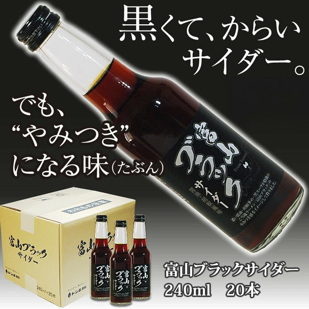 【ふるさと納税】ブラックサイダー 1ケース20本 | 飲料 炭酸飲料 黒 サイダー 炭酸 地域特産品 地元産限定 ローカル味 伝統製法 特色飲料 特色品 富山名...