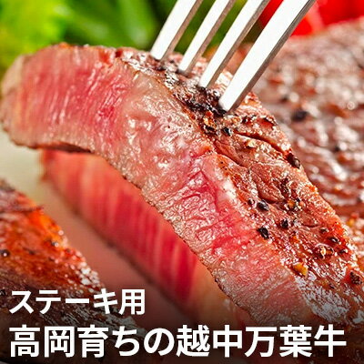 【ふるさと納税】高岡育ちの越中万葉牛 ステーキ用200g〜250g×2枚 サーロイン 肉 牛肉 ステーキ 国産 富山　【牛肉・お肉・ステーキ用・サーロインステーキ】･･･