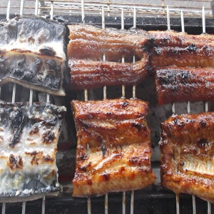 うなぎとどじょうの蒲焼(うなぎ4切・どじょう10本) 【魚介類・魚貝類・うなぎ・鰻】