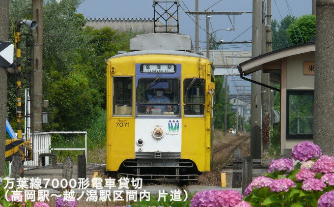 【ふるさと納税】万葉線7000形電車貸切（高岡駅～越ノ潟駅区間内 片道）　【チケット 体験チケット 乗車券 鉄道乗車券】その2