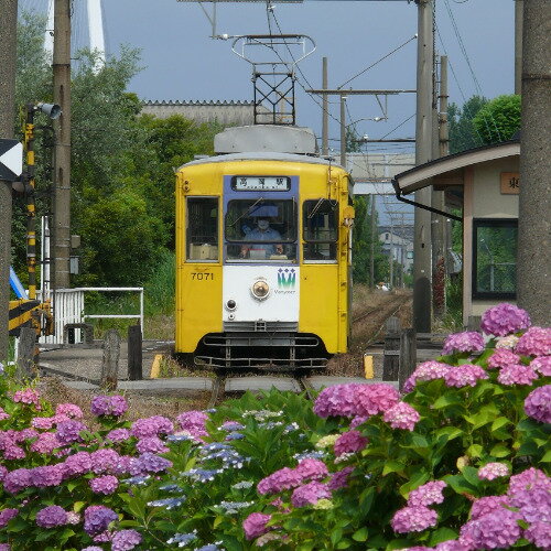 【ふるさと納税】万葉線7000形電車貸切（高岡駅～越ノ潟駅区間内 片道） 【チケット 体験チケット 乗車券 鉄道乗車券】