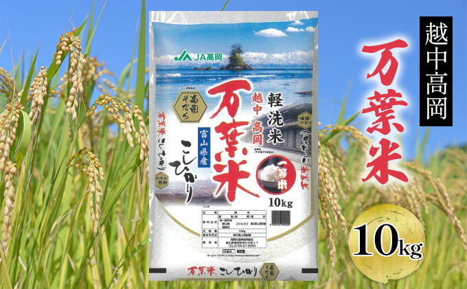 【ふるさと納税】米 コシヒカリ 越中高岡 万葉米 10kg こしひかり 精米 こめ コメ お米 白米 富山　【 富山県高岡市 】