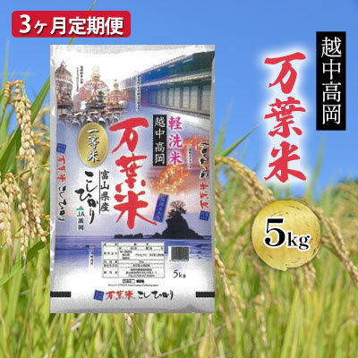 【ふるさと納税】3ヶ月定期便 越中高岡 万葉米5kg 米 精米 5kg 白米 コシヒカリ こしひかり 富山 定期便　【定期便・お米 コシヒカリ】