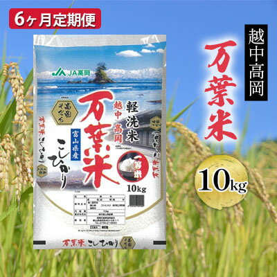 【ふるさと納税】米 定期便 6ヶ月 コシヒカリ 越中高岡 万葉米 10kg 定期 精米 白米 こしひかり お米 ...