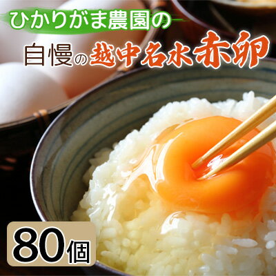 [越中名水赤卵]80個 ひかりがま農園 たまご 富山県高岡市 [ 鶏卵 食材 超濃黄色 たまごかけご飯 オムレツ 卵料理 玉子焼き 目玉焼き おかず ] お届け:2023年6月中旬より順次出荷