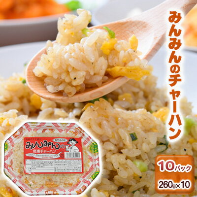 16位! 口コミ数「0件」評価「0」みんみんのチャーハン10パック　餃子専門店　ギョーザ　ぎょうざ　富山　みんみん　【 惣菜 中華 冷凍チャーハン お昼ご飯 ランチ 夕飯 夜食･･･ 