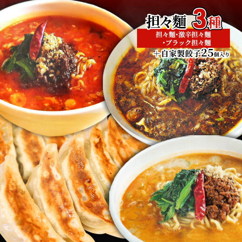 担々麺3種（担々麺・激辛担々麺・ブラック担々麺）＋自家製餃子25個入り　【 担々麺 ラーメン 麺 麺類 自家製 餃子 】