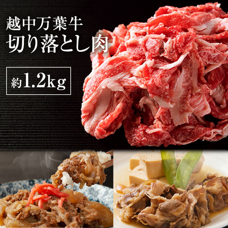 【ふるさと納税】越中万葉牛切り落とし1.2Kg おすすめ 牛肉 すき焼き ボリューム 冷凍 /天狗乃肉林本店/富山県高岡市　高岡市のサムネイル