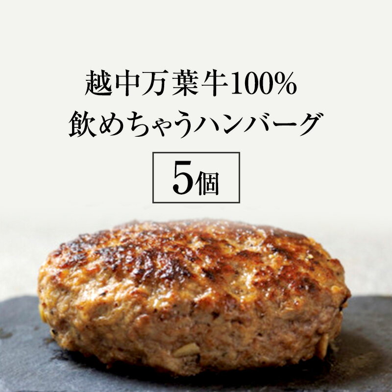 【ふるさと納税】越中万葉牛100％飲めちゃうハンバーグ おすすめ 牛肉 ボリューム 冷凍 焼くだけ /天狗乃肉林本店/富山県高岡市　高岡市のサムネイル