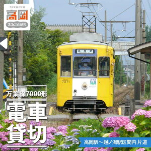 【ふるさと納税】万葉線7000形電車貸切(高岡駅〜越ノ潟駅区間内 片道) チケット 体験チケット 乗車券 鉄道乗車券 FAD-0001