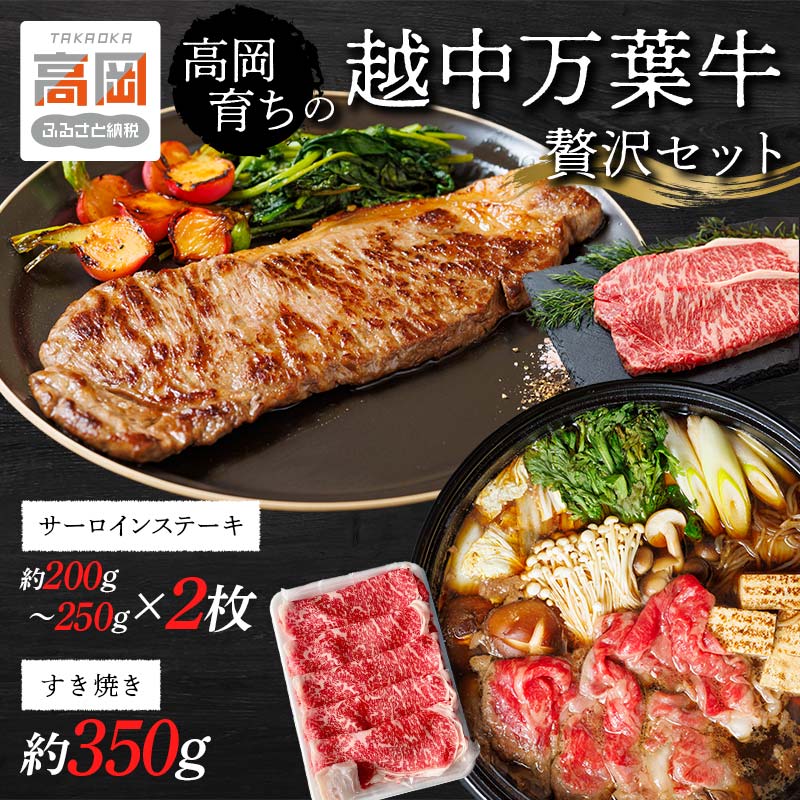 【ふるさと納税】高岡育ちの越中万葉牛 贅沢セット（すき焼き用約350g＋ステーキ用約200〜250g×2） サーロイン 牛 肉 ステーキ すきや..