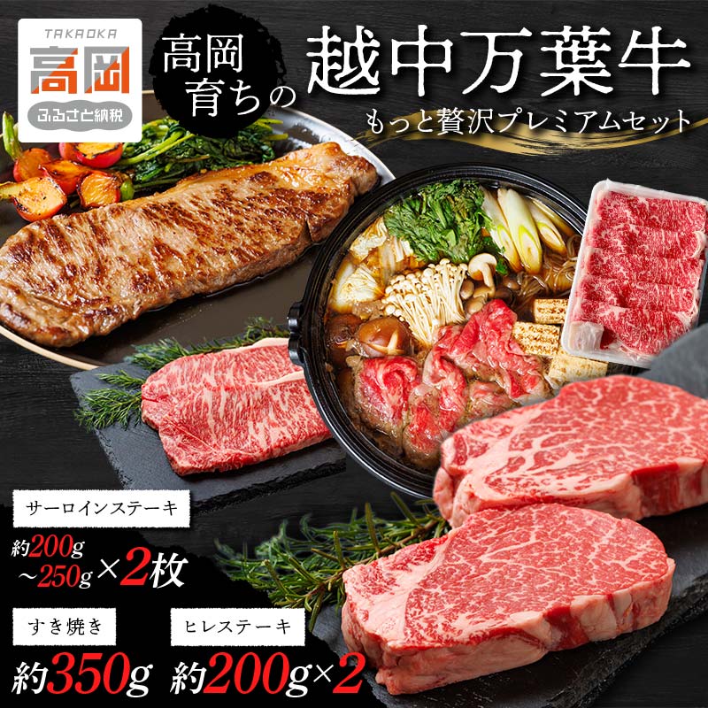 【ふるさと納税】高岡育ちの越中万葉牛 もっと贅沢プレミアムセット サーロイン ヒレ ステーキ すき焼き すきやき スキヤキ 国産 肉 牛..