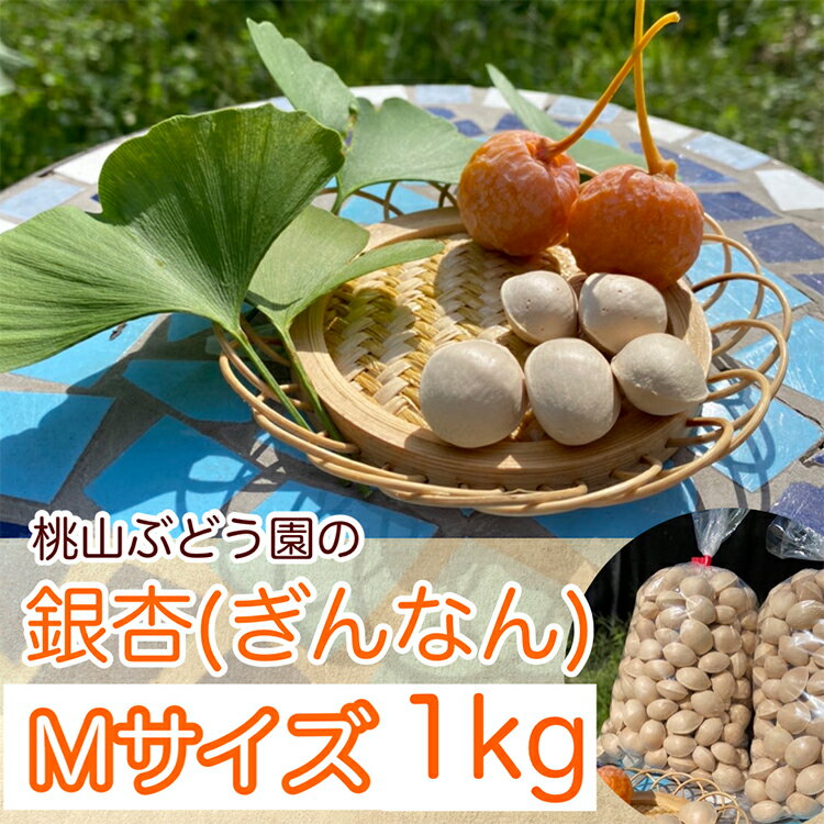 ڤդ뤵Ǽǡ֤ɤΡؤʤ(դ)M1kg̳ƻ졦ΥؤԲġ2024ǯ11ܺ缡ȯ...