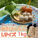 【ふるさと納税】桃山ぶどう園の『ぎんなん(殻付き)』Lサイズ 約1kg ※北海道・沖縄・離島への配送不可 ※2025年11月上旬頃より順次発送予定