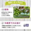 富山県魚津市の画像3