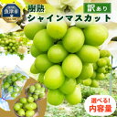 【ふるさと納税】\選べる内容量/ 訳あり シャインマスカット 樹熟 | 房 小分けパック 富山県産 マスカット ぶどう ブドウ 葡萄 ※北海道・沖縄・離島への配...