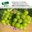 富山県魚津市の画像2