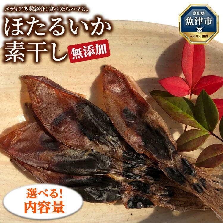ڤդ뤵Ǽǡۡ٤̡̥ۥۥ륤 Ǵͱ建åȡ 400g 1kg 2kg ۤ뤤 ŷ ...
