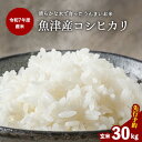 【ふるさと納税】【先行予約】【R7年度産米】収穫後すぐにお届け 富山県魚津市 布施の里コシヒカリ玄米30kg ※北海道・沖縄・離島への配送不可 ※2025年9月下旬頃より順次発送予定