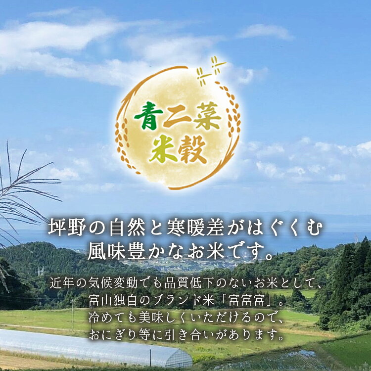 山里の環境が育んだ風味豊かな「富富富」です。　【ふるさと納税】山の湧き水 寒暖差 山里 山里の米・坪野米 R7年産 富富富 5kg ｜ふふふ 新米 こめ コメ お米 おこめ 白米 精米 香り うまみ あまみ 自慢 高品質 富山 魚津　※北海道・沖縄・離島への配送不可
