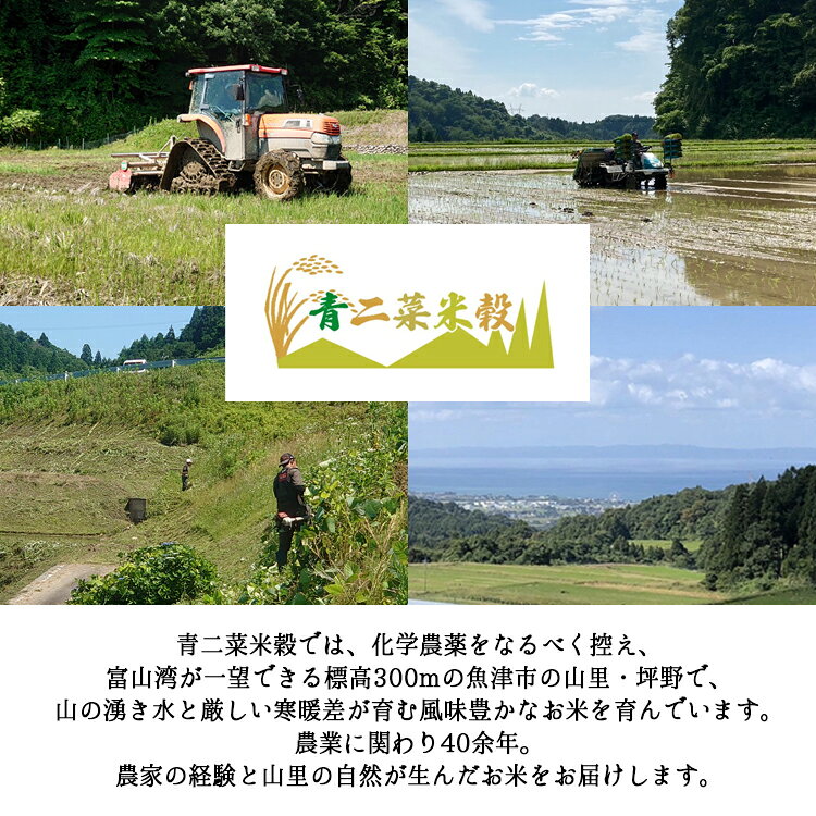 山里の環境が育んだ風味豊かな「富富富」です。　【ふるさと納税】山の湧き水 寒暖差 山里 山里の米・坪野米 R7年産 富富富 5kg ｜ふふふ 新米 こめ コメ お米 おこめ 白米 精米 香り うまみ あまみ 自慢 高品質 富山 魚津　※北海道・沖縄・離島への配送不可