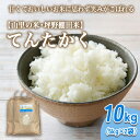 【ふるさと納税】山の湧き水 寒暖差 山里 山里の米・坪野米 R7年産 てんたかく 10kg(5kg×2)| 新米 こめ コメ お米 おこめ 白米 精米 お弁当 おにぎり 香り うまみ あまみ 富山 魚津 ※北海道・沖縄・離島への配送不可 ※2025年9月下旬~2025年10月中旬頃に順次発送予定