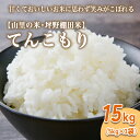 【ふるさと納税】山の湧き水 寒暖差 山里 山里の米・坪野棚田米 R7年産 てんこもり15kg(5kg×3) ※北海道・沖縄・離島への配送不可 ※2025年10月中旬~2026年9月中旬頃に順次発送予定