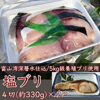 富山湾深層水仕込みの汐ブリ（塩ブリ・養殖）4切×2パック　【魚介類・ブリ・ぶり】