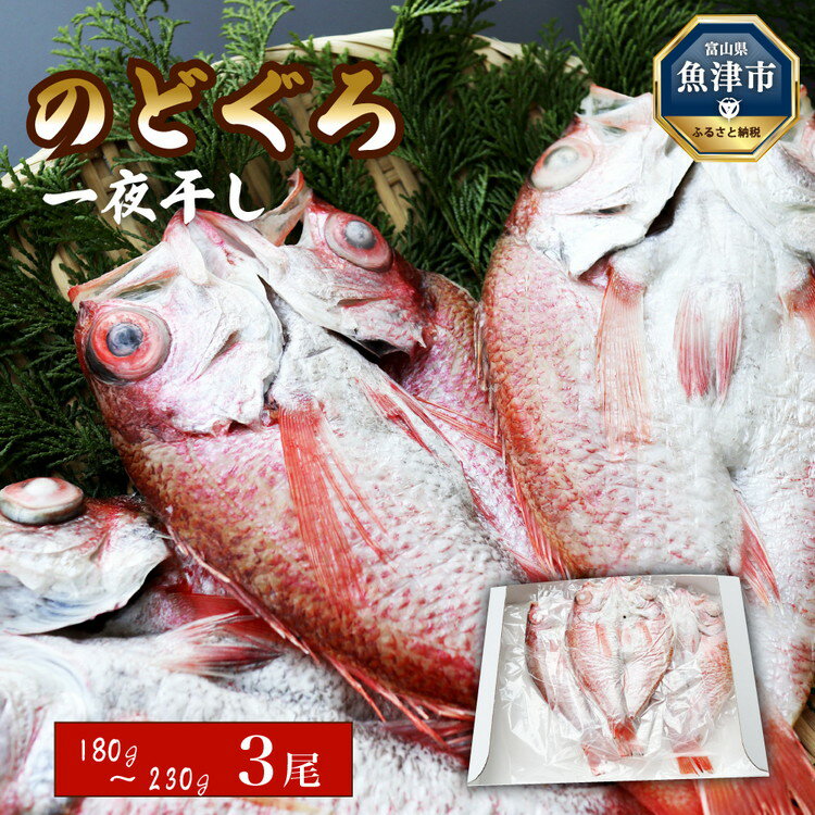 【ふるさと納税】日本海産 のどぐろ開き 180g～230g級 3尾（のど黒・アカムツ） 富山 魚津 浜浦水産【のどぐろ・魚貝類・干物】のサムネイル