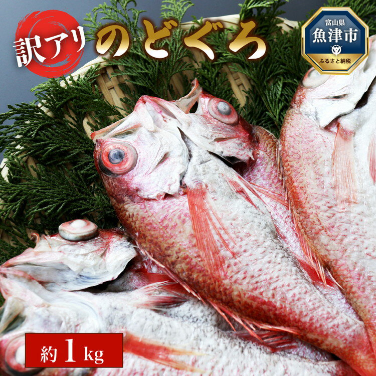 【ふるさと納税】【訳あり】富山湾産　のどぐろ開き　計約1kg【 魚貝類 のどぐろ 干物 のどぐろ開き あかむつ 富山県産 産地直送 】