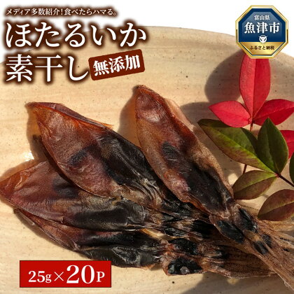 【大量シェア】ホタルイカ素干500g（25g×20袋）：浜浦水産シェアセット【加工食品・魚貝類・干物】