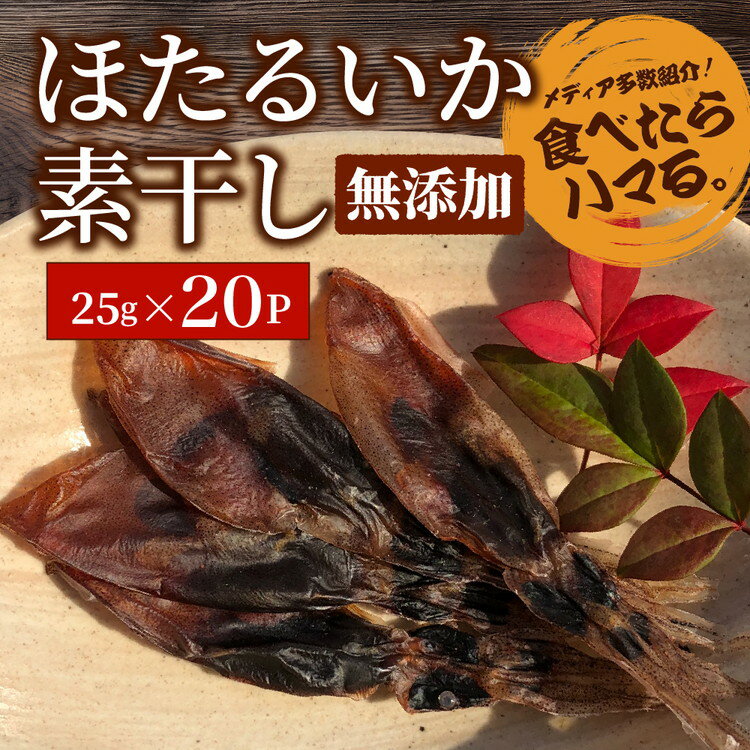 【ふるさと納税】【大量シェア】ホタルイカ素干500g（25g×20袋）：浜浦水産シェアセット【加工食品・魚貝類・干物】