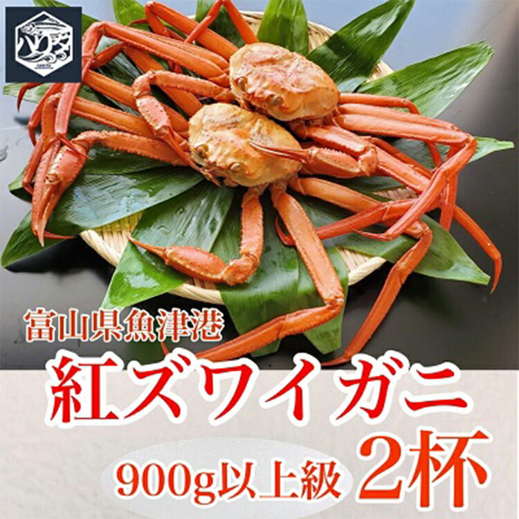 59位! 口コミ数「0件」評価「0」魚卸問屋のベニズワイガニ 900g級以上×2杯 はりたや【ずわい蟹・ずわいガニ・ズワイガニ】　※2023年10月上旬～2024年5月下旬頃に･･･ 