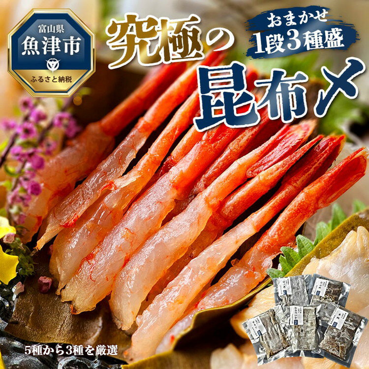 究極の昆布〆、お任せ1段3種盛(急速冷凍品)魚卸問屋はりたや 富山県魚津市 昆布締め こぶじめ 刺身 天然昆布[ 魚貝類 加工食品 郷土料理 新鮮素材 高級真昆布つまみ 一品料理 肴 お酒のあて ]