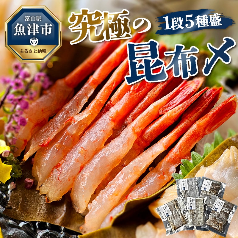 【ふるさと納税】究極の昆布〆、1段5種盛（急速冷凍品）魚卸問