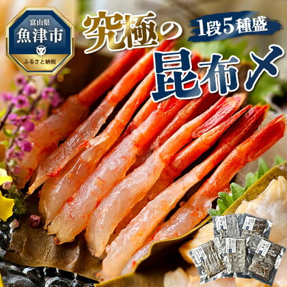 究極の昆布〆、1段5種盛（急速冷凍品）魚卸問屋はりたや 富山県魚津市 昆布締め こぶじめ 刺身 天然昆布　【 魚貝類 つまみ 一品料理 肴 お酒のあて 自家製昆布〆 鮮度 最高級昆布使用】