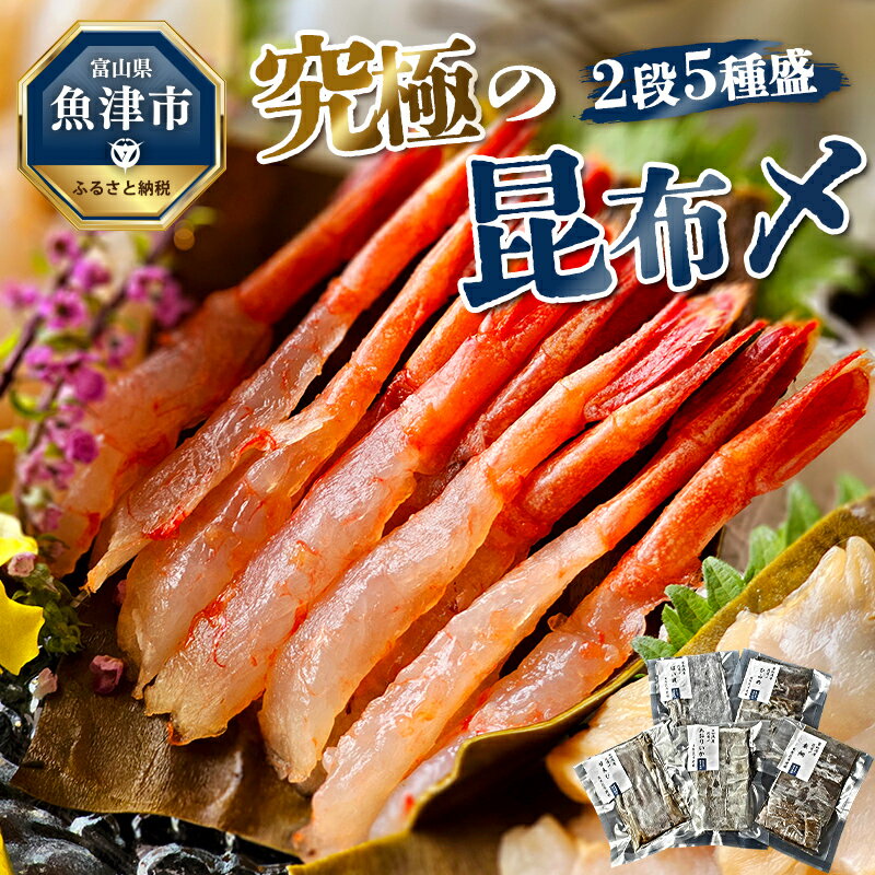 究極の昆布〆、2段5種盛(急速冷凍品)魚卸問屋はりたや 富山県魚津市 昆布締め こぶじめ 刺身 天然昆布 [ 魚貝類 つまみ 一品料理 肴 お酒のあて 自家製昆布〆 鮮度 最高級昆布使用 レビューCP]