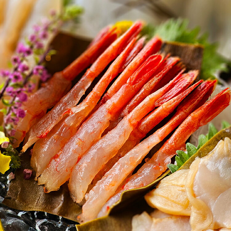【ふるさと納税】＼選べる内容量／ 究極の昆布〆 2段 3～5種盛（急速冷凍品）｜ 魚卸問屋はりたや 富山県魚津市 昆布締め こぶじめ 刺身 天然昆布 魚貝類 つまみ 一品料理 肴 お酒のあて 自家製昆布〆 鮮度 最高級昆布使用 ※北海道・沖縄・離島への配送不可