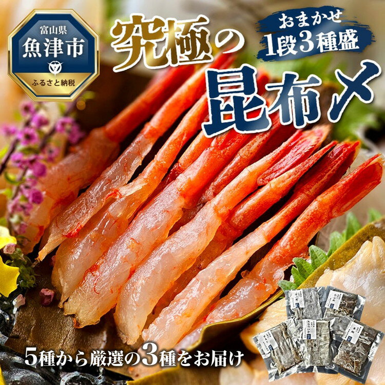 【ふるさと納税】究極の昆布〆、お任せ1段3種盛（急速冷凍品）魚卸問屋はりたや 富山県魚津市 昆布締め こぶじめ 刺身 天然昆布【 魚貝類 加工食品 郷土料理 新鮮素材 高級真昆布つまみ 一品料理 肴 お酒のあて 】のサムネイル