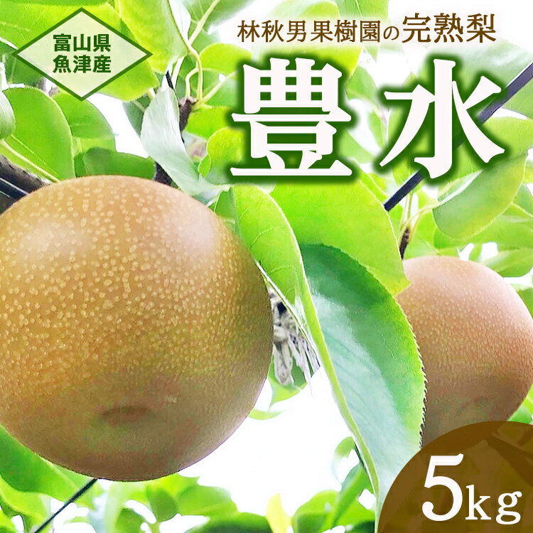 【ふるさと納税】【早期予約】魚津：林秋男果樹園の完