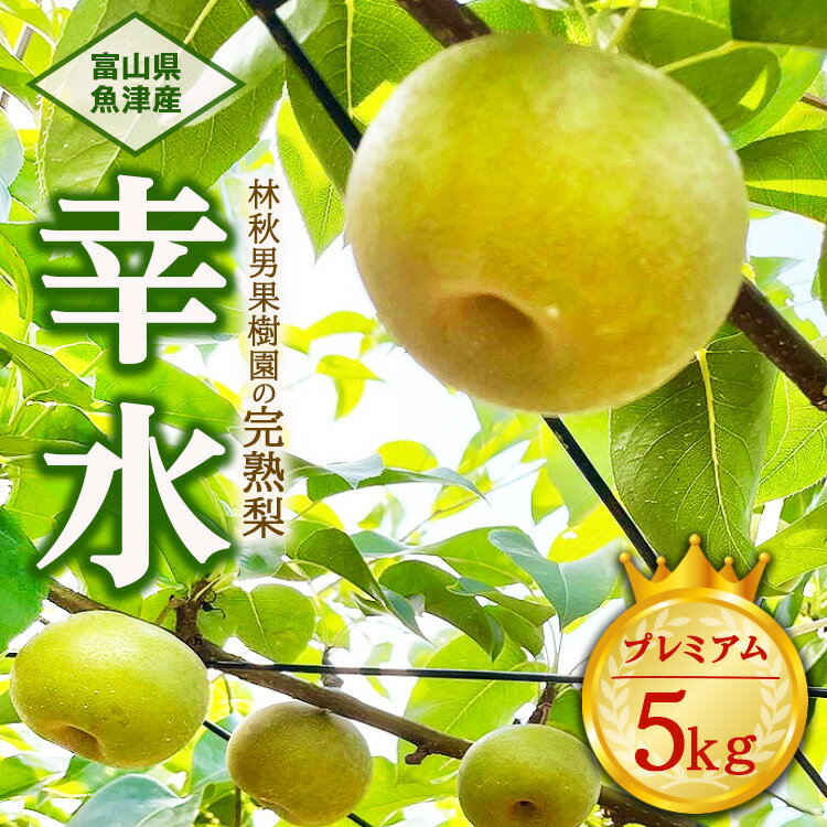 【ふるさと納税】【早期予約】【プレミアム】林秋男果樹園の完熟梨「幸水」5kg｜フルーツ なし 富山県魚津市　※北海道・沖縄・離島への配送不可　※2024年8月中旬頃より順次発送予定のサムネイル